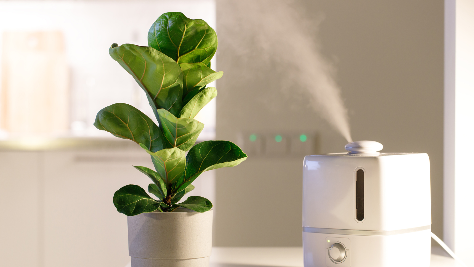 Air humidifier at home