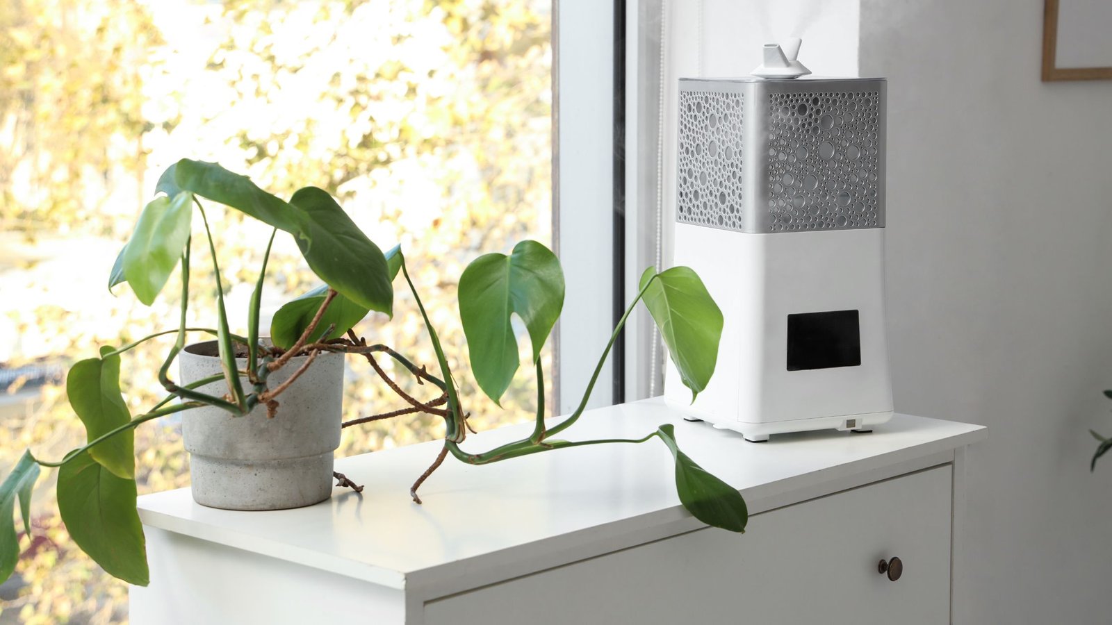 geriausias oro drėkintuvas, užtikrinantis komfortą ir tinkamą drėgmę