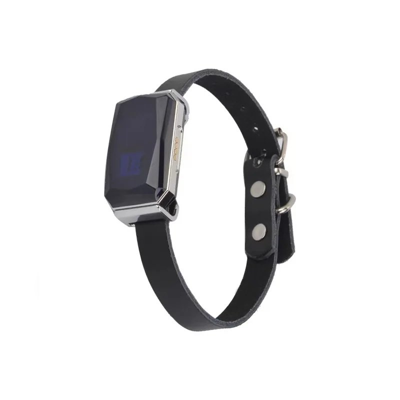 gps-gyvunu-sekiklis-feelspot-fs-sc01gps GPS gyvūnų sekiklis Feelspot FS-SC01GPS - Paveikslėlis 1