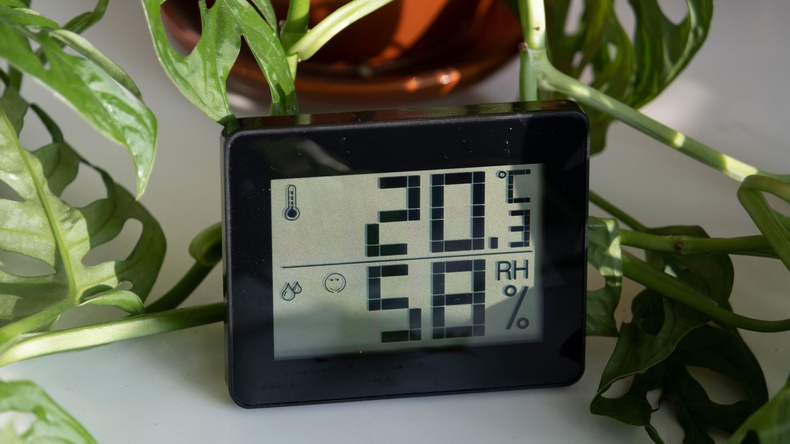 Sausas oras namuose: priežastys, pasekmės ir kaip jas spręsti 1 Meteorologinė stotelė