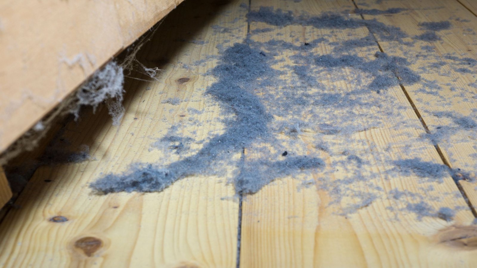 Dulkės namuose: kaupiasi po baldais, ant grindų ir kitų pavirčių.