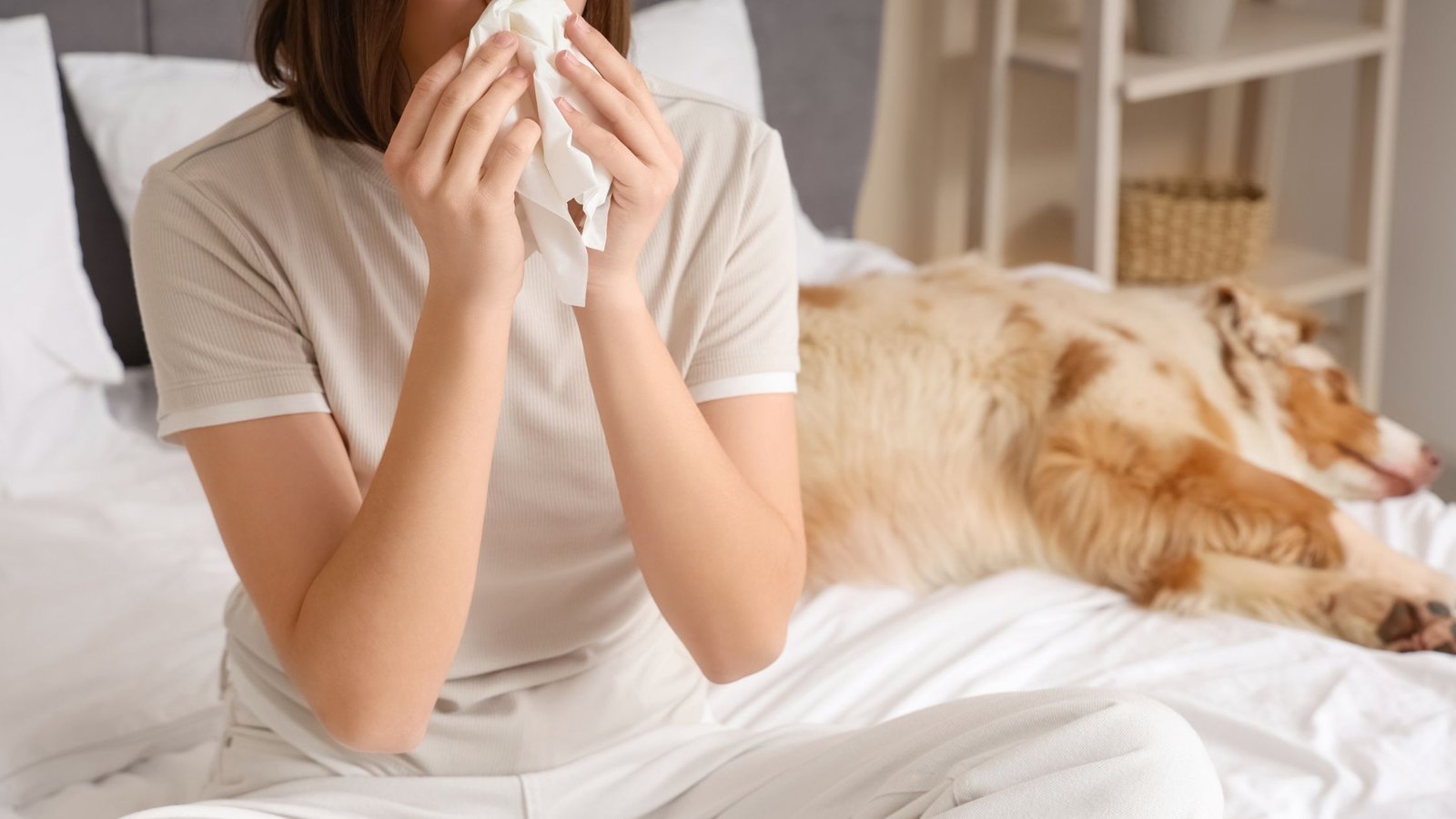 Pelėsis namuose: kodėl atsiranda, kuo pavojingas ir kaip visam laikui jo atsikratyti 4 Čiaudulys - alergijos pelėsiui simptomas.