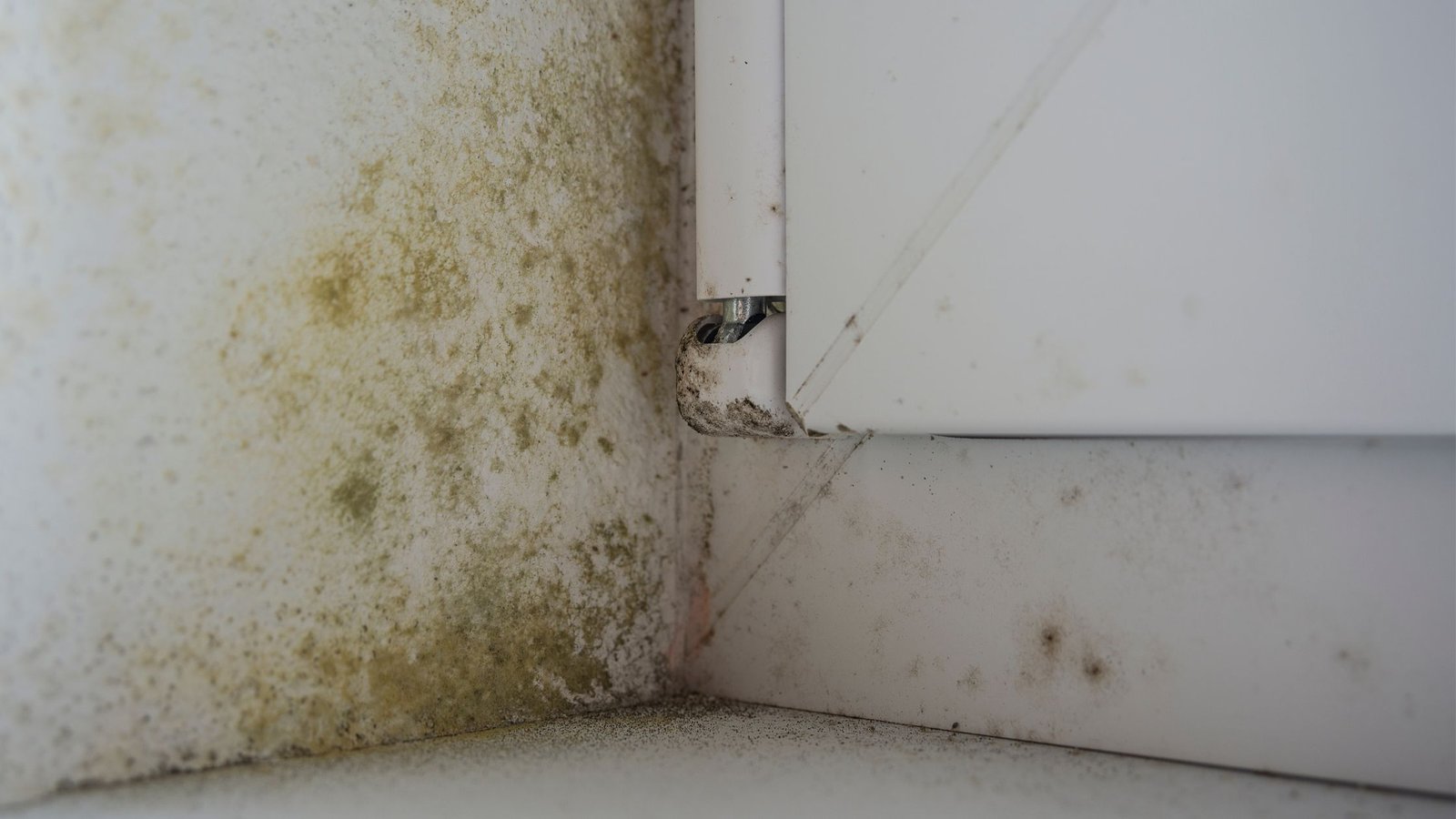 Pelėsis namuose: kodėl atsiranda, kuo pavojingas ir kaip visam laikui jo atsikratyti 3 Palangės, langų rėmai - dažna vieta, kur atsiranda pelėsis.