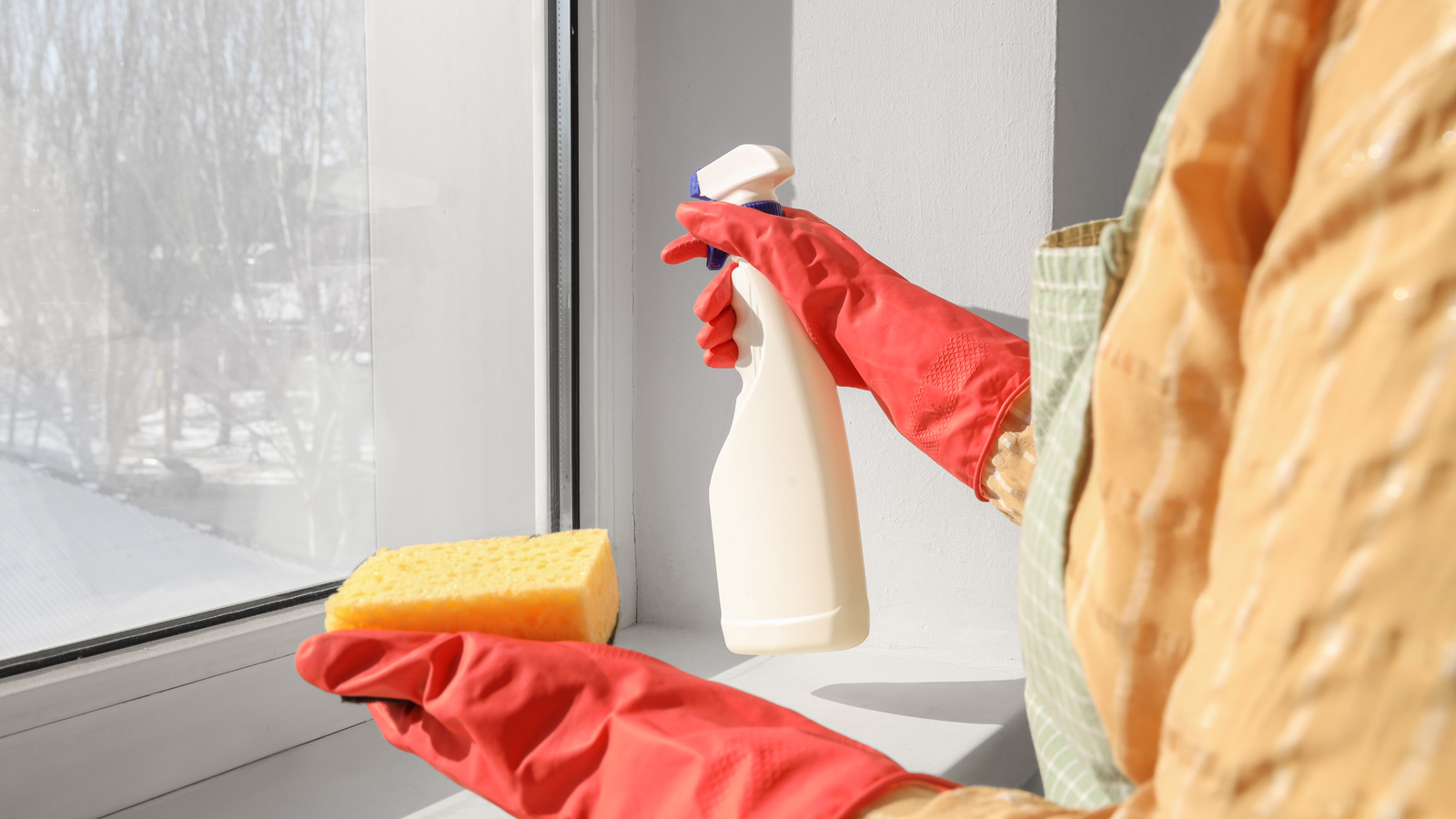 How to eradicate mold and ensure it doesn't come back? 2 A person using protective gloves and clothing sprays windows to remove mold