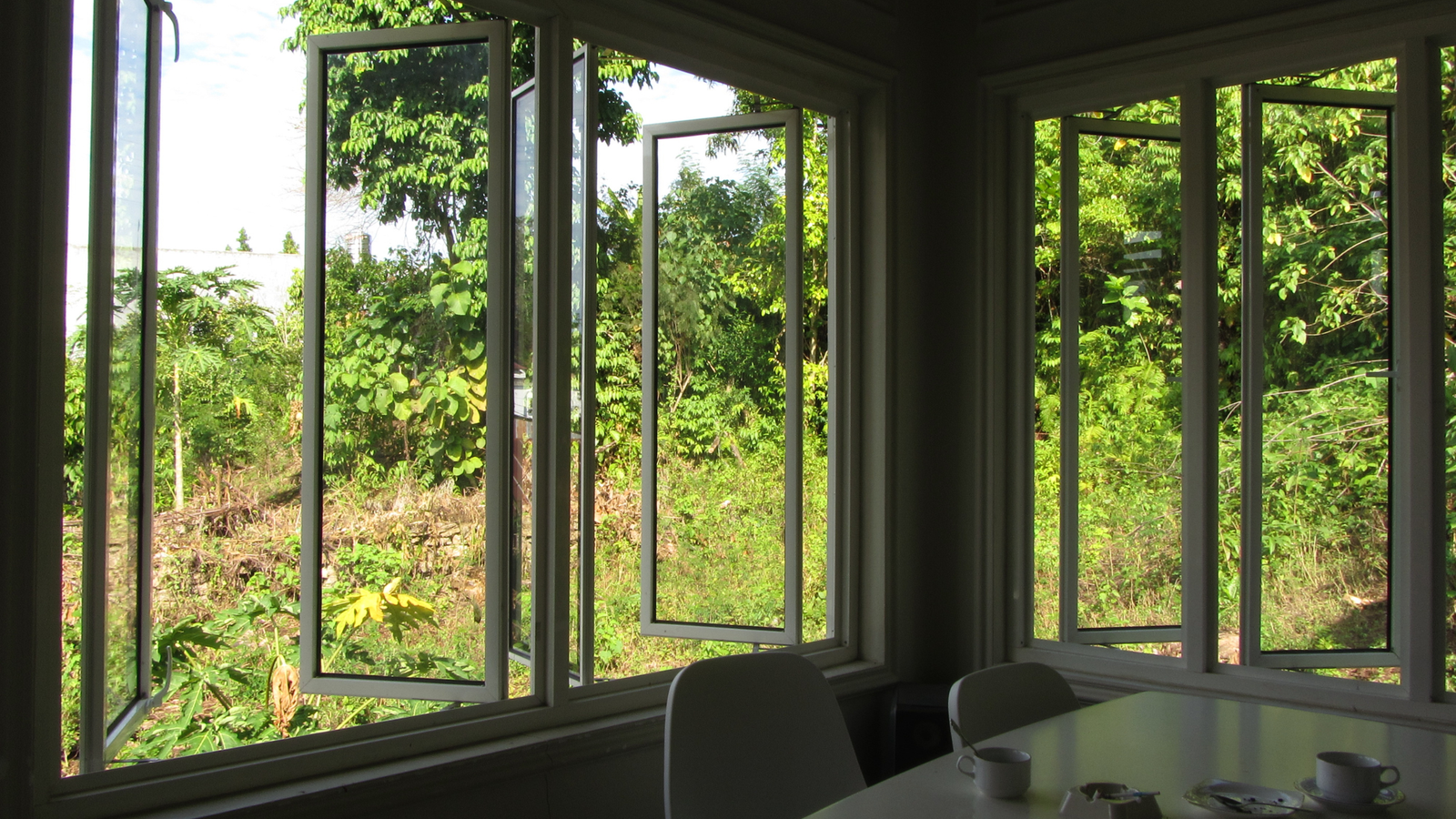 Condensation on windows: why do windows fog up? 8 Open windows - one way to properly ventilate the room